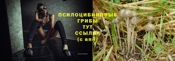 скорость Алексеевка
