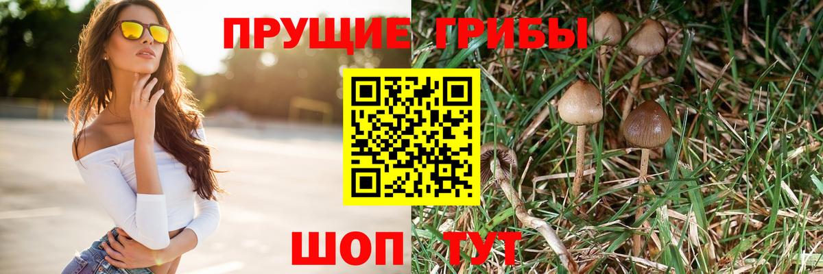 Асбест  Псилоцибиновые грибы прущие грибы  Вход с VPN 